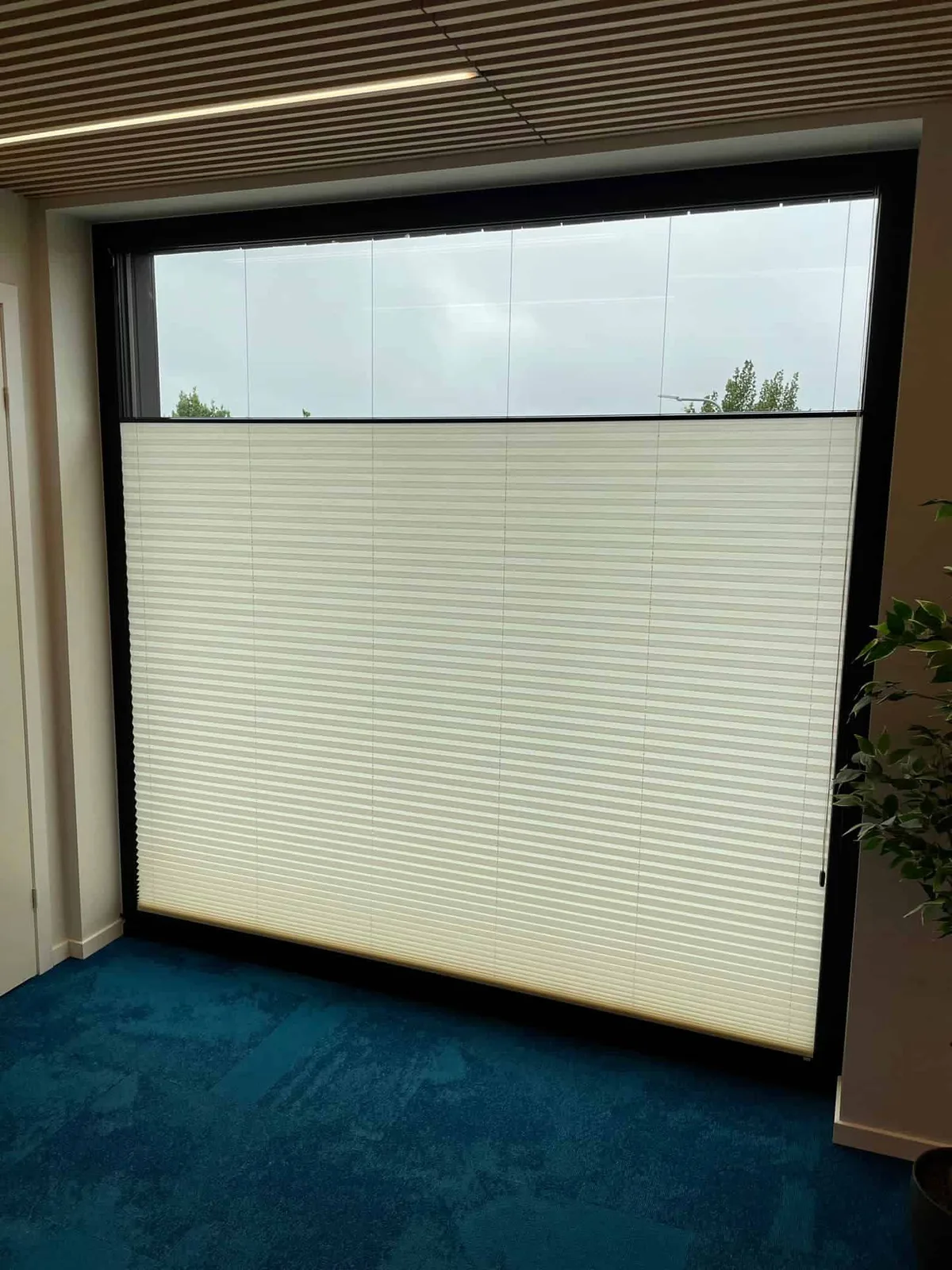 Voldikkardinad – tehtud tööd Valguskate 69