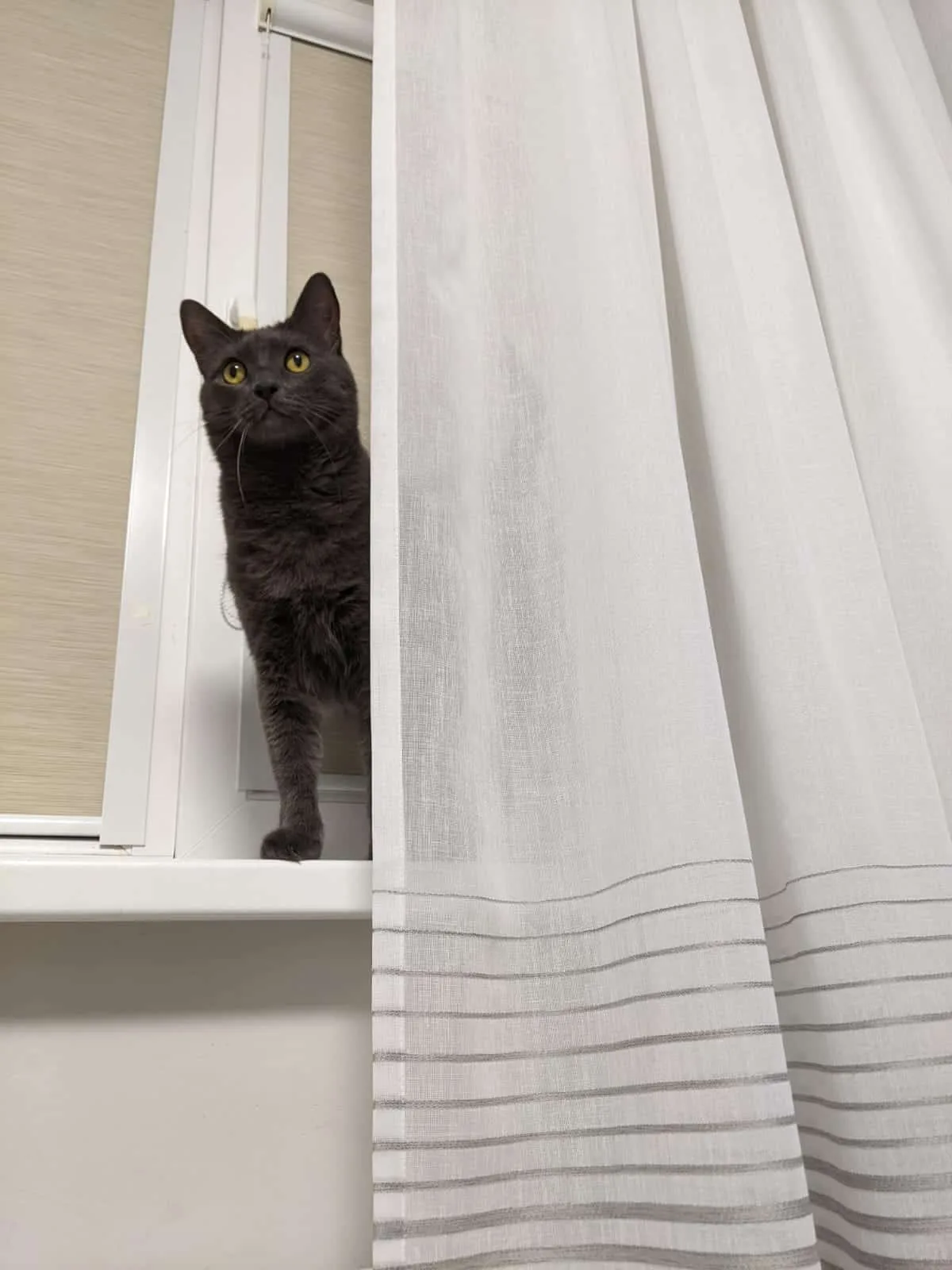 Tekstiilkardinad – tehtud tööd Valguskate 128